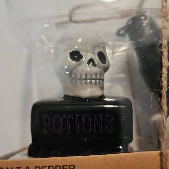 Boston Warehouse Spooky Ceramic Salt and Pepper Shakers Skull and Crow - Picture 5 of 6